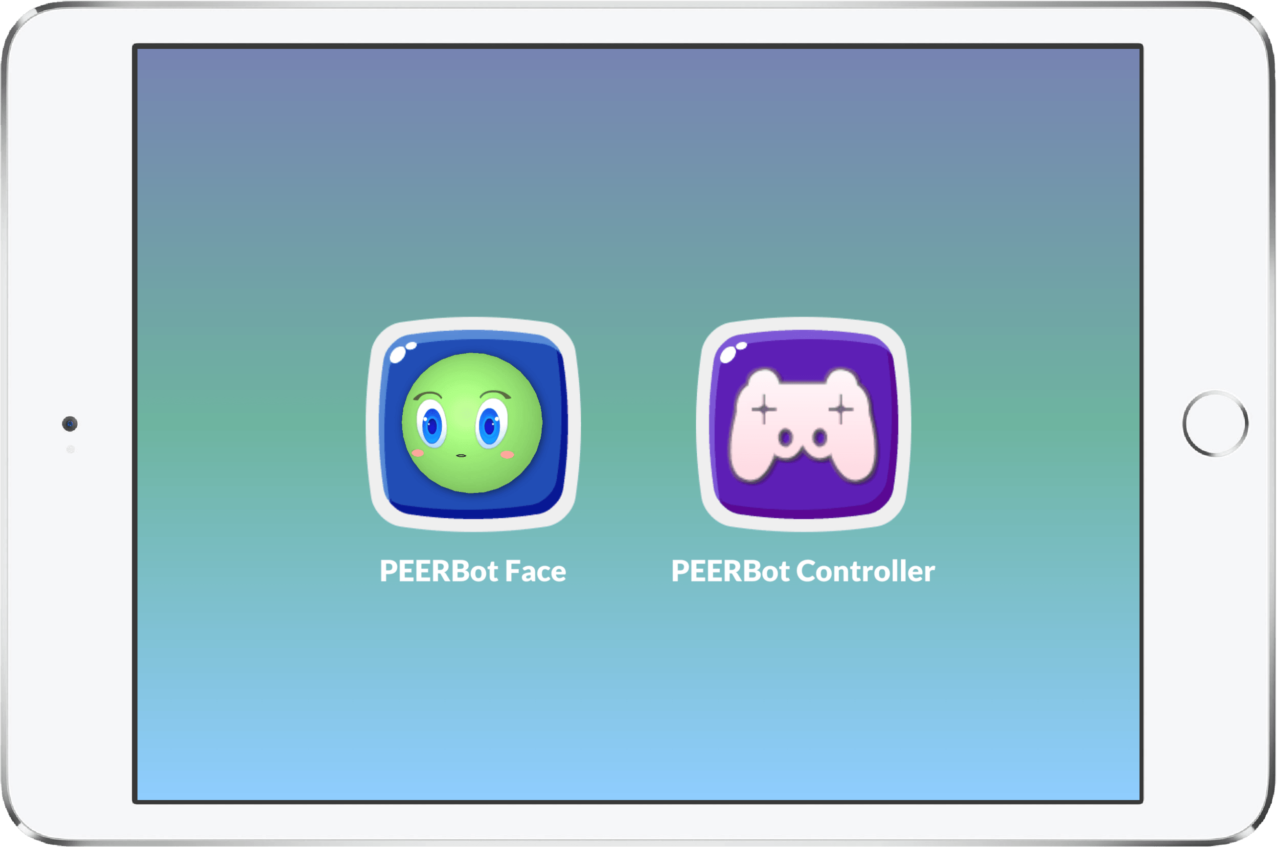 Peerbots — Social Robot Face & Controller — image 6
